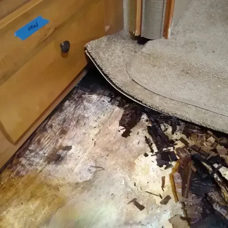 Wood Floor Water Damage in Washoe County, NV